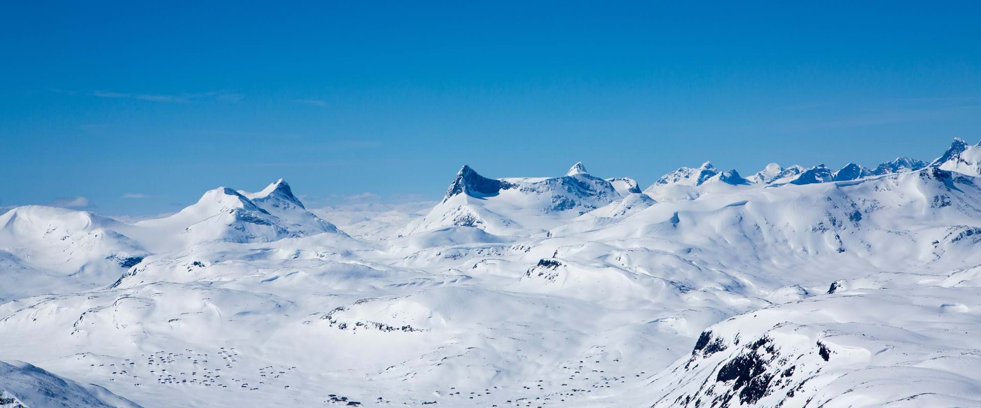Fjellheim.jpg
