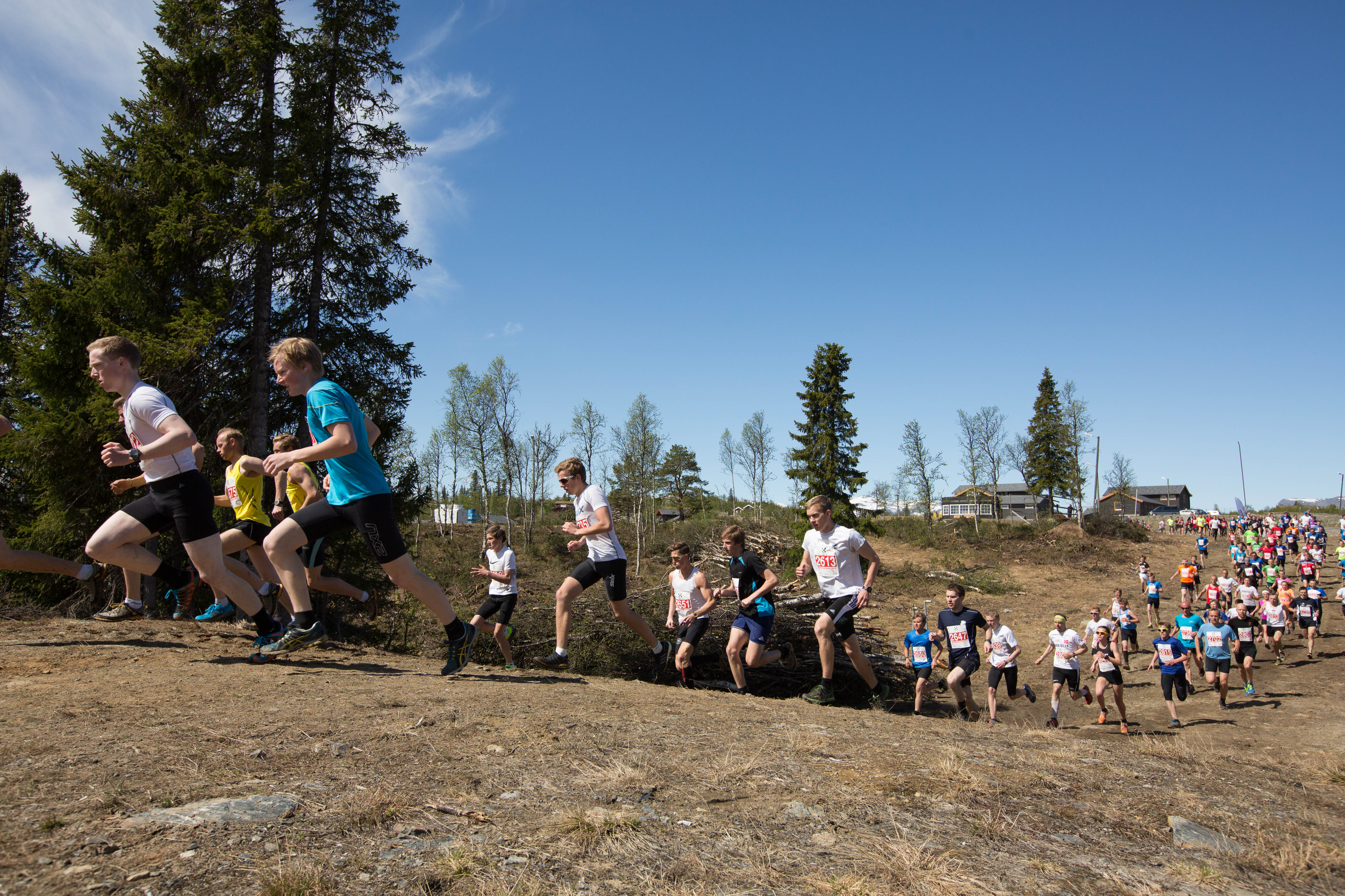 Fjellmaraton Fjellbukken Oversikt
