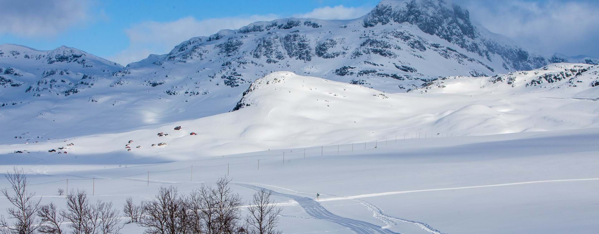Det er bare nytelse å starte dagen med en skitur innover fjellet. Vi har nypreppede løyper hver dag hele vinteren. Følg med på www.beitolangrenn.no