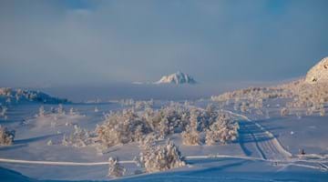 Heistopp Tåke Bitihorn