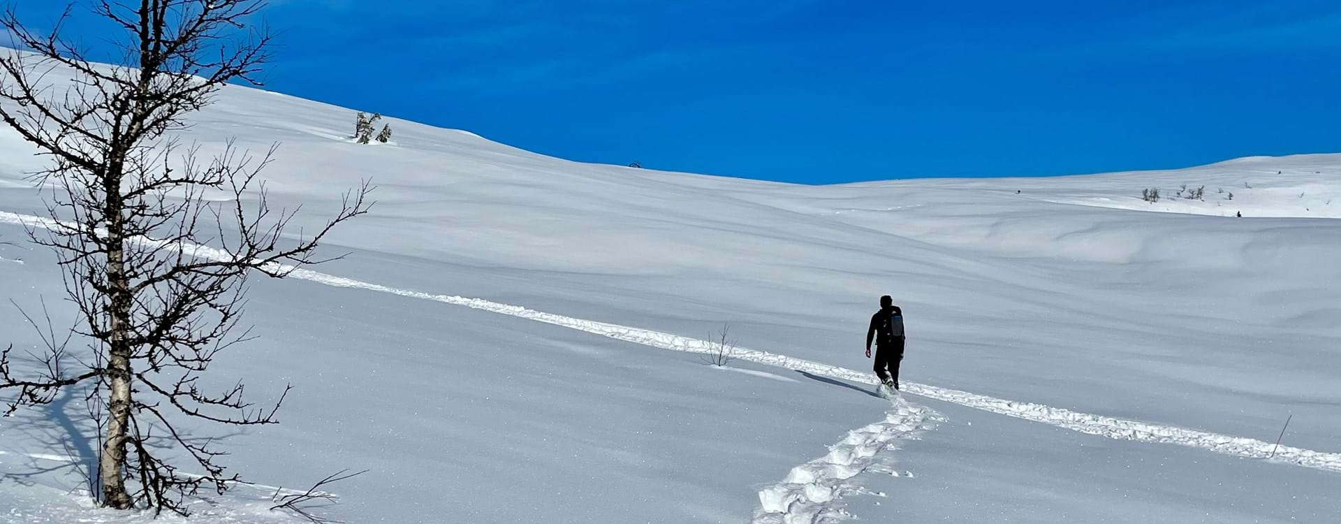 Trugetur i fjellet i dyp nysnø i våren