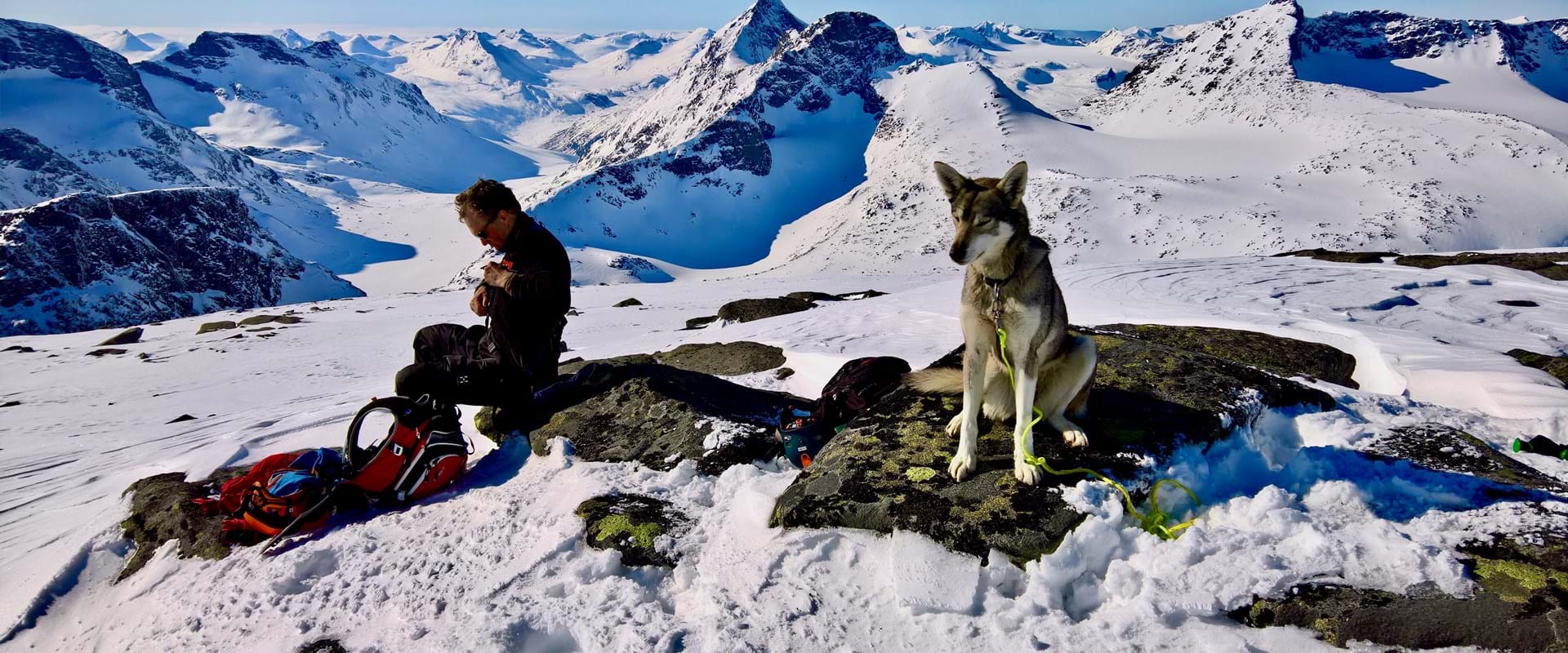 Topptur Med Husky I Jotunheimen