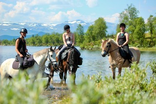 IMG 1904 3