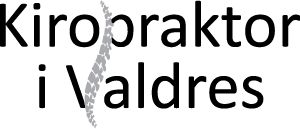 Kiropraktor I Valdres Ny Logo